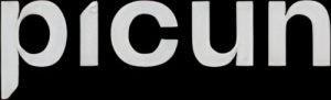 Picun logo black