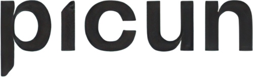 Picun logo